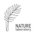 Palm branch in a glass test tube Ã¢â¬â icon for nature science laboratory